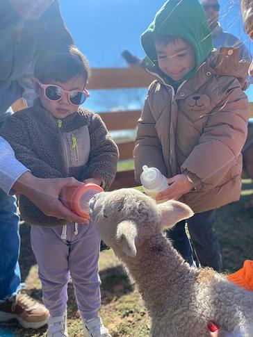 Midland Hotel  | Paso de los Toros | Fotos 19