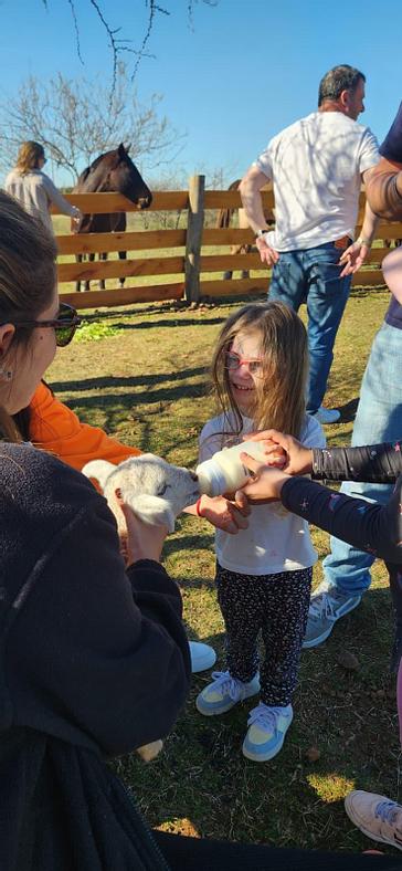 Midland Hotel  | Paso de los Toros | Fotos 20