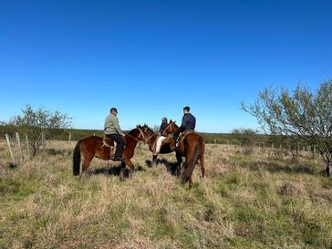 Midland Hotel  | Paso de los Toros | Fotos 13