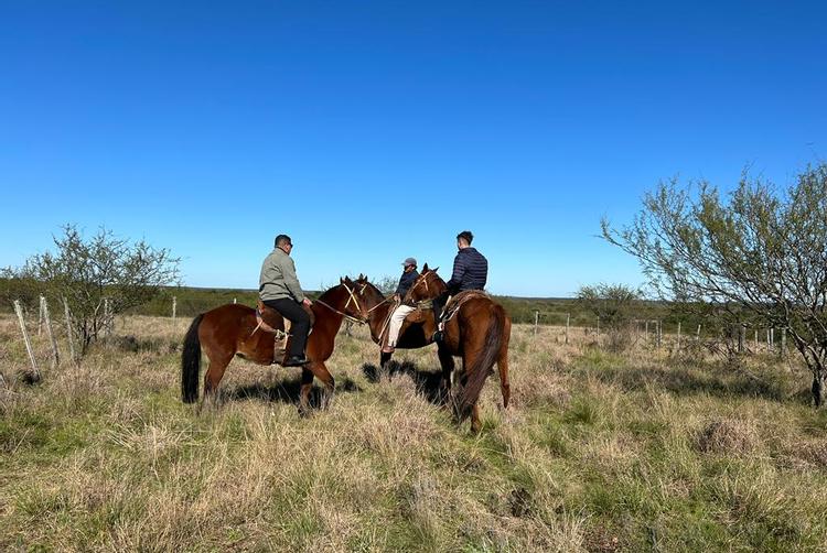 Midland Hotel  | Paso de los Toros | 20